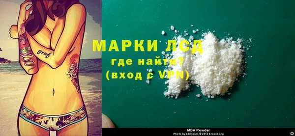 стаф Алзамай