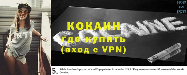 стаф Алзамай