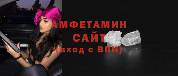 стаф Алзамай