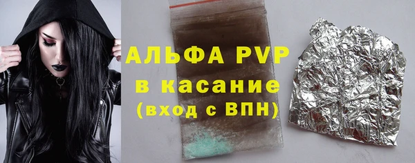 стаф Алзамай